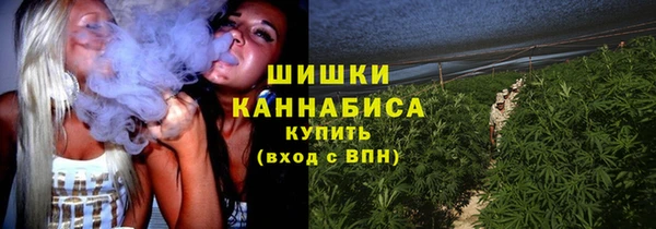 не бодяженный Дмитриев