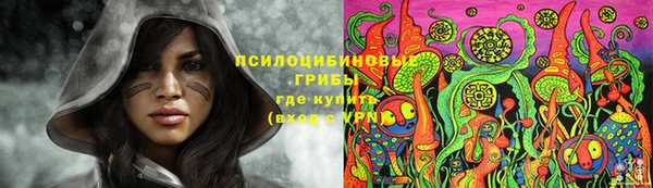 кокс Дмитров